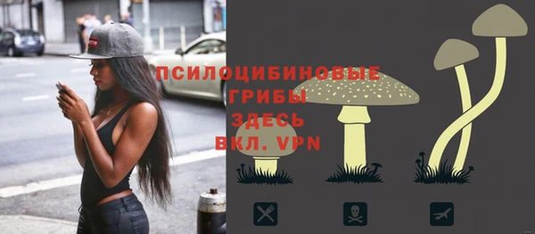а пвп мука Белокуриха