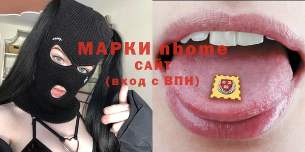 хмурый Богородск